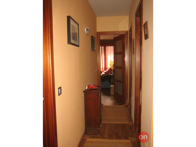 pic5.jpg